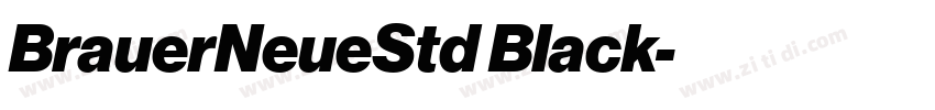 BrauerNeueStd Black字体转换
